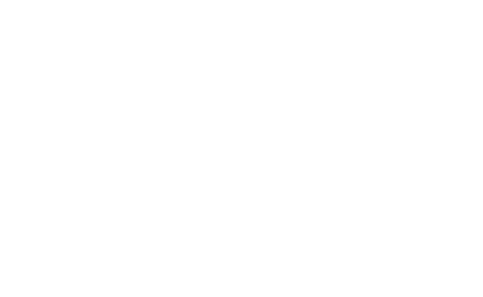 PDL Logo